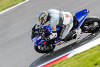 Middle Group Blue Bikes